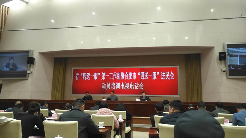 省“四送一服”進(jìn)民企動員培訓(xùn)電視電話會